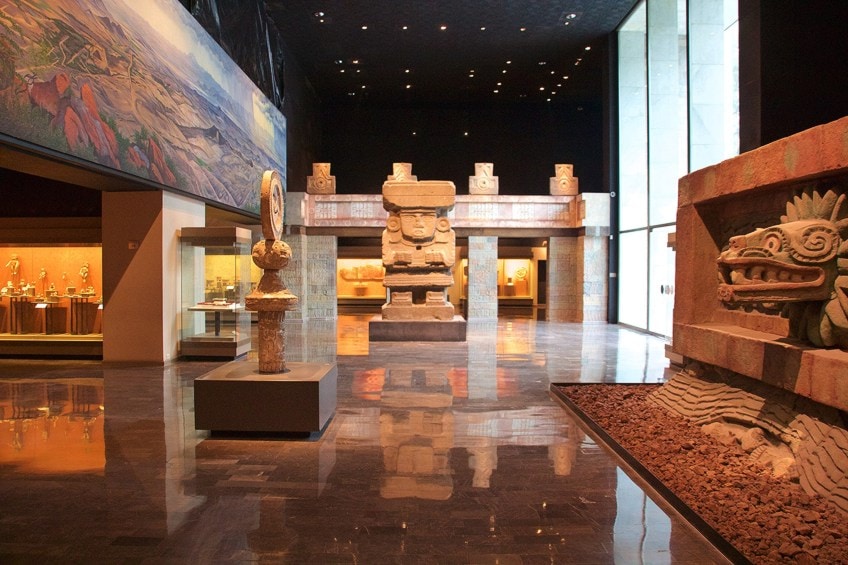 Artifacts on Display in a Museum