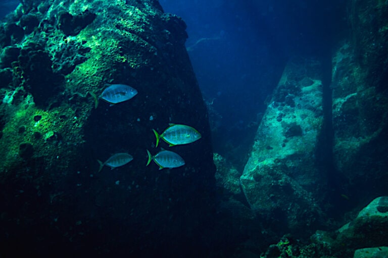Underwater City in Cuba – Evidence of a Caribbean Atlantis?