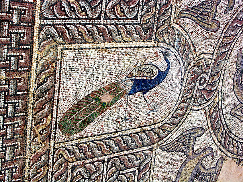 Peacocks as Symbols of Hera